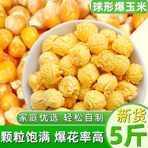 爆米花专用球形玉米粒5斤电影院