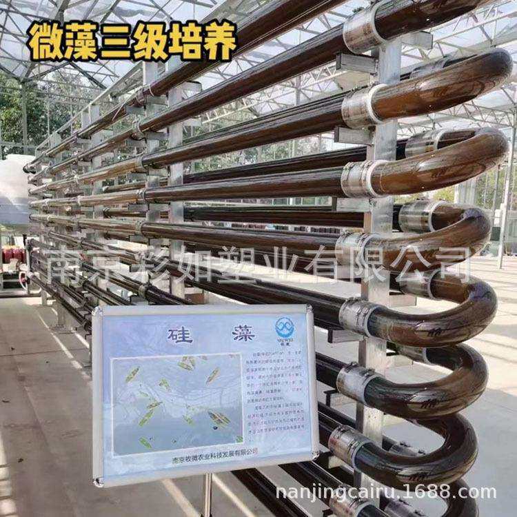 有机玻璃管道式藻光反应器 亚克力藻类培养管道 二级藻类培养器