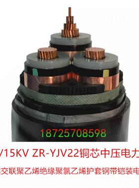 铜芯高压电缆YJV2210kv重庆现货厂家铠装阻燃电力电缆 可定