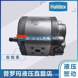 180202国产代替现货供应 WP09A1B190R03BA121N 瑞典HALDEX 齿轮泵