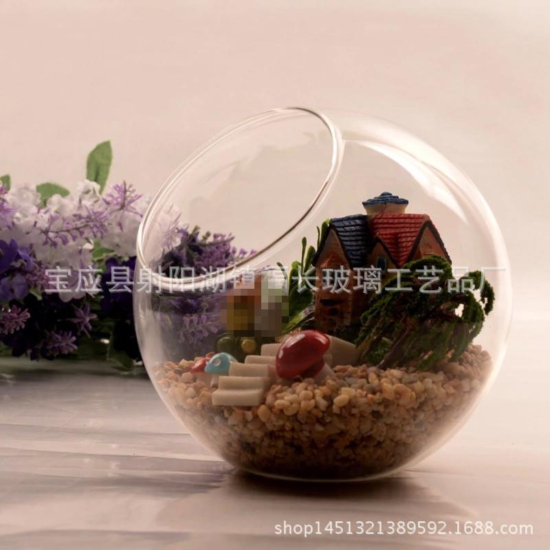 玻璃工艺品 苔藓微景观 植物生态绿植盆栽 多肉植物花