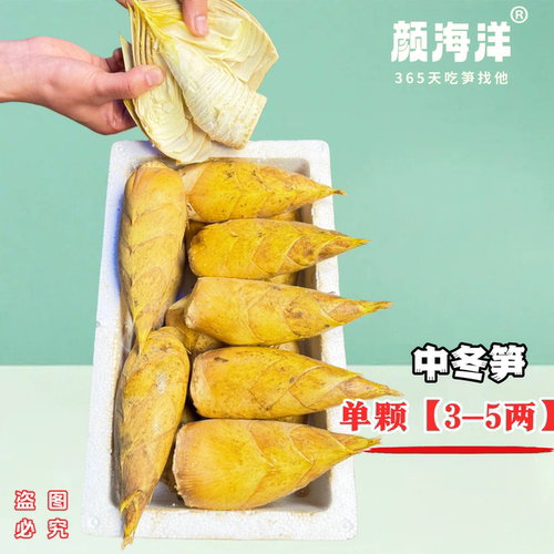 现挖冬笋，肉质鲜嫩，去老根发货