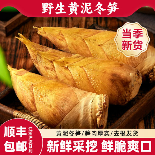 现挖冬笋，肉质鲜嫩，去老根发货
