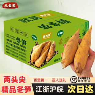 精品两头尖冬笋礼盒浙江临安发货新鲜冬笋大竹笋鲜笋冬笋5斤装/起
