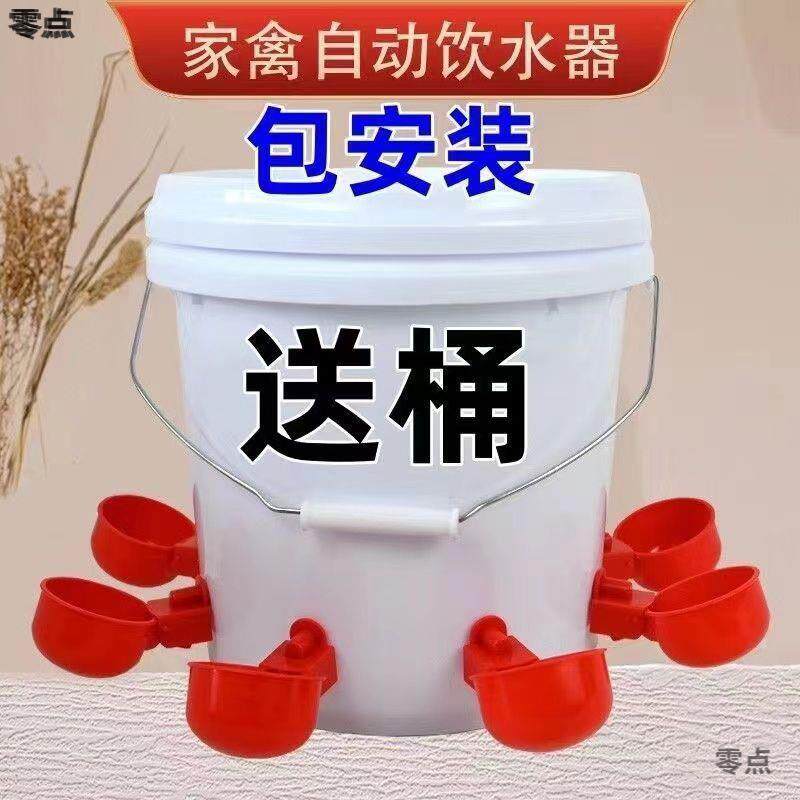 家禽养殖小鸡鸭鹅自动饮水碗饮水器鸽用自动喝水饮水碗鹌鹑鸡食槽