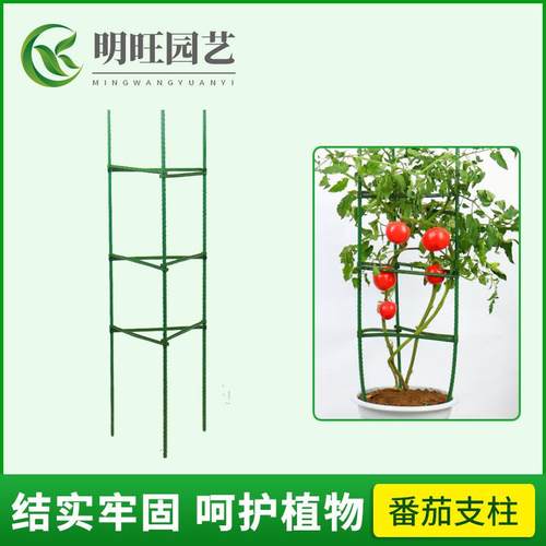西红柿架花卉支架番茄支架庭院植物包塑钢管葡萄架月季花支架阳台