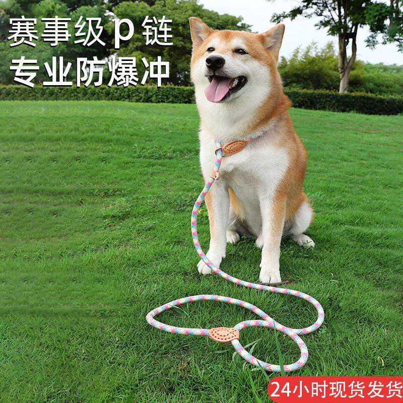跨境狗狗牵引绳中大型犬通用安全扣狗链项圈遛狗P链宠物用品