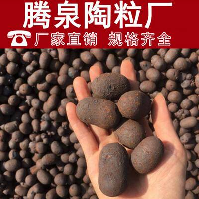 工程建筑陶粒  厂家直销享出厂价 卫生间回填园林铺面隔热保温