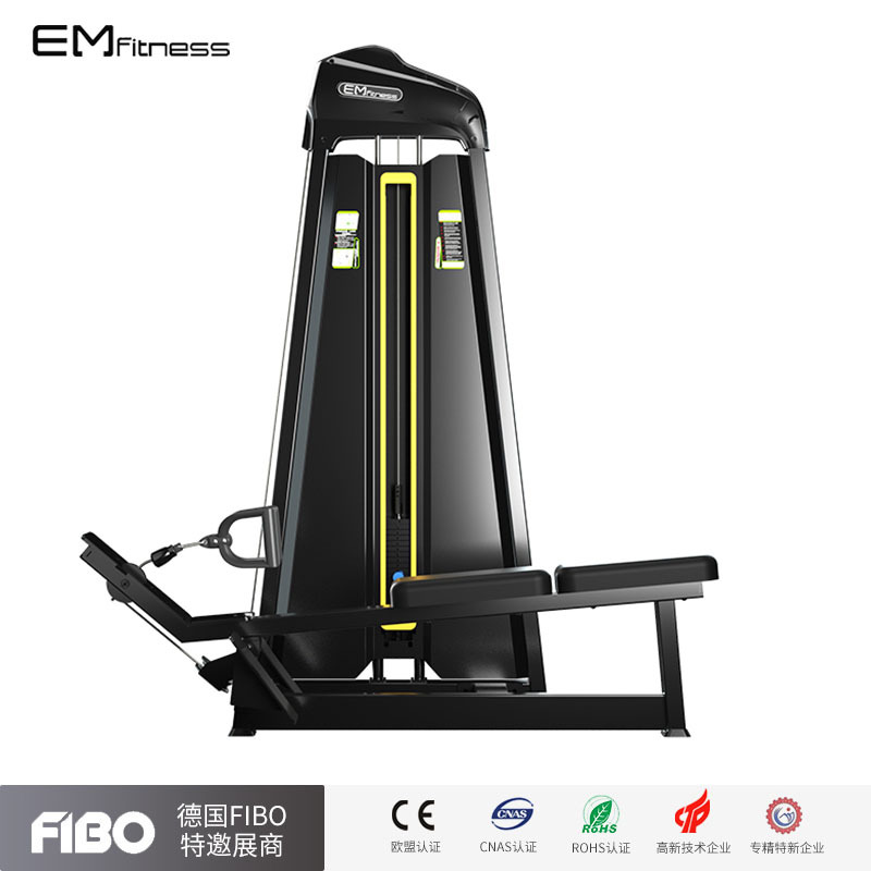 高位下拉训练器高低拉背肌训练器背部训练器健身房商用高拉背器械