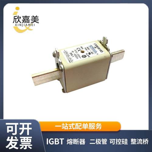 170M3818D 170M3819 快速熔断器 电子元器件 库存充足 量大价优