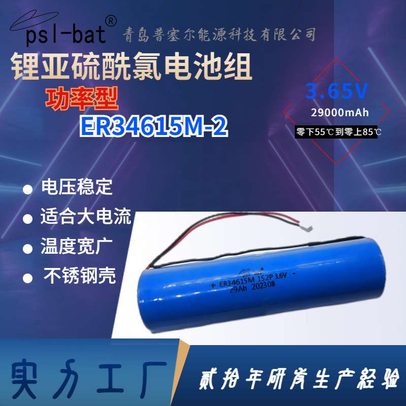 ER34615M-2 1S2P 3.6V29Ah功率型锂亚电池并联组合物联网智能仪表