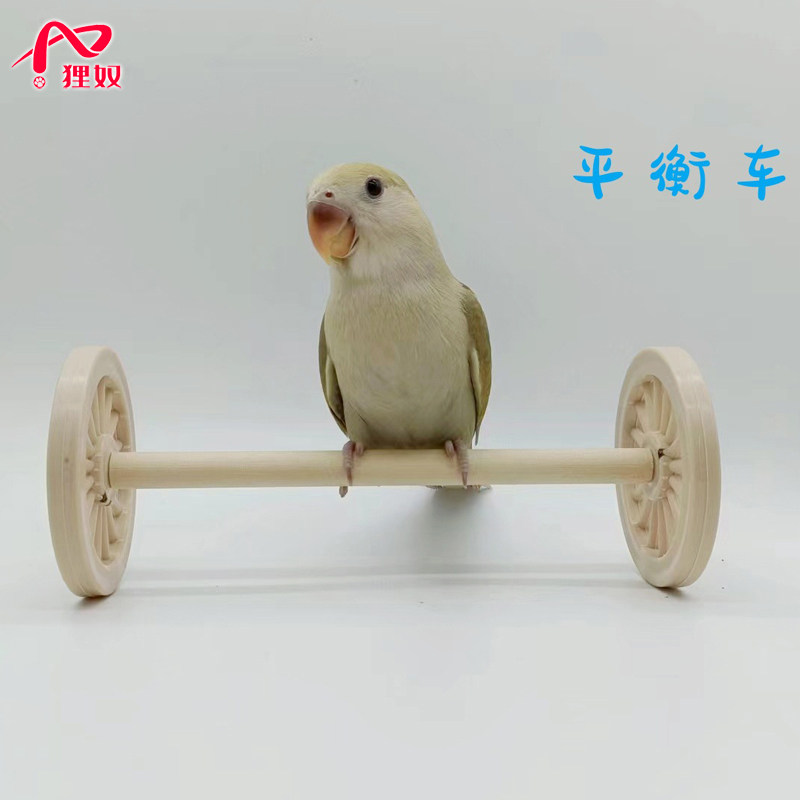 狸奴中小型宠物鸟自嗨解闷平衡车玩具鹦鹉滑轮滑板车技能训练道具,宠物/宠物食品及用品,鸟玩具,淘宝优惠券,粉丝福利购,淘宝优惠卷