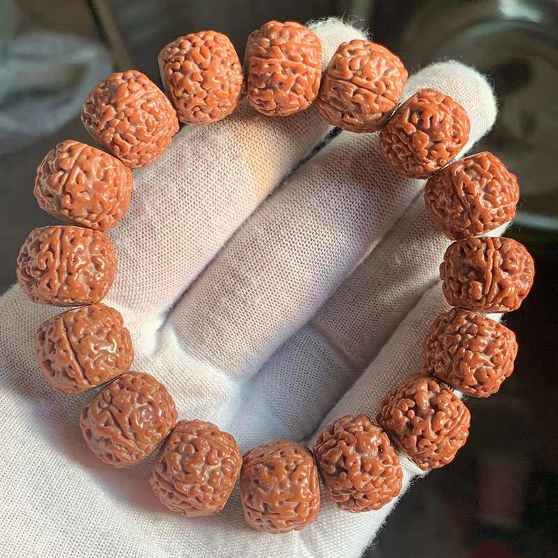 五瓣大草莓金刚菩提网络爆款