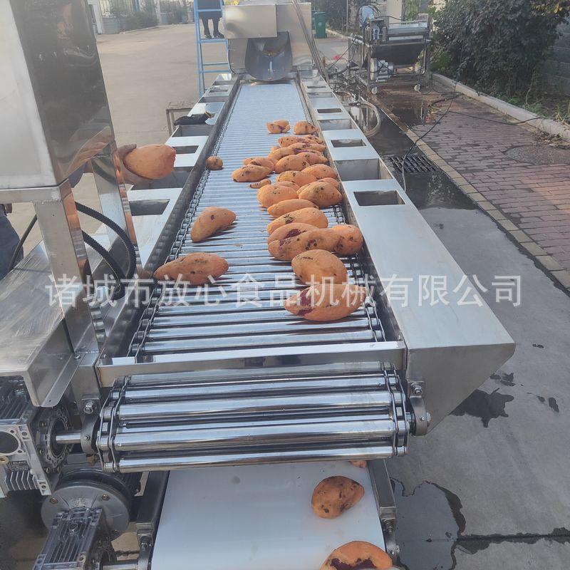 毛辊清洗机 多功能沙参清机毛清RYS辊清洗流水洗线 茎类产根品洗