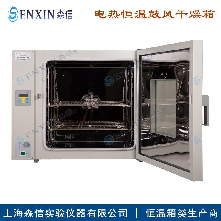 -供应DGG-9203AD电热恒温鼓风干燥箱（可十段编程）