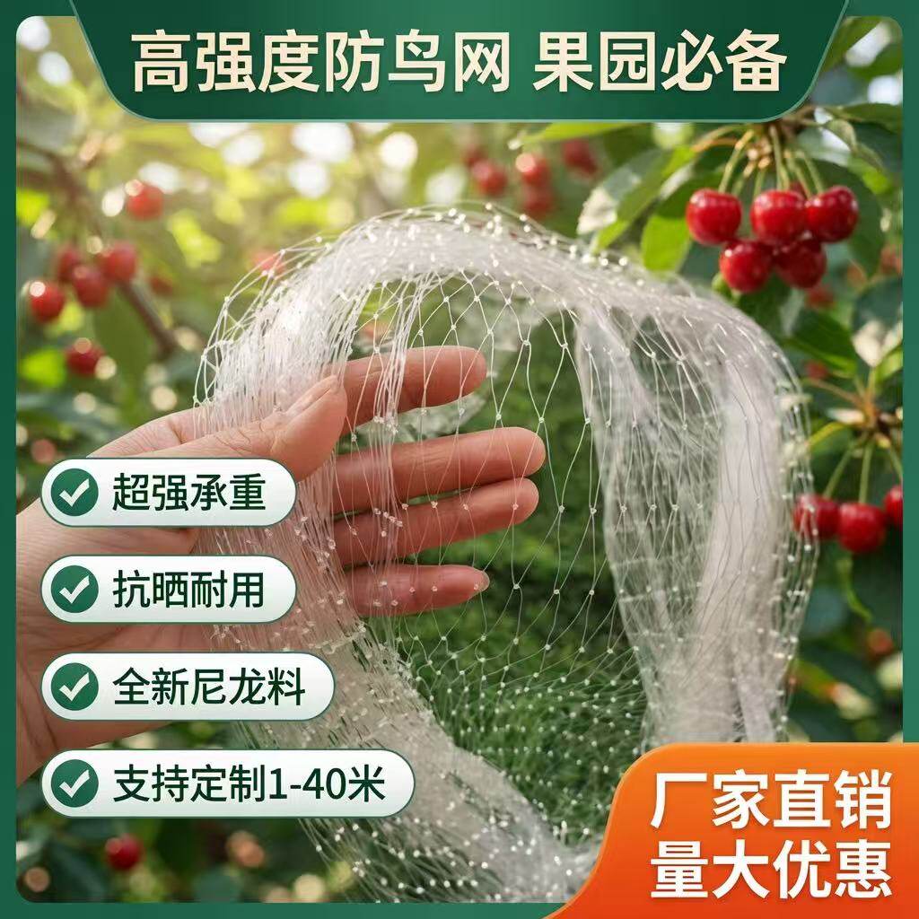 防鸟网加粗耐用尼龙网天网