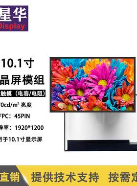 10.1寸EV101WUM-N20原装液晶屏IPS全视角硬屏 裸屏 显示屏模组