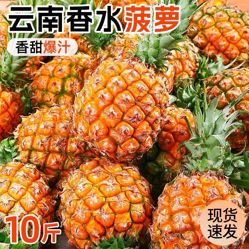 云南香水小菠萝新鲜水果10斤应当季手撕凤梨金钻波罗粉色整箱包邮
