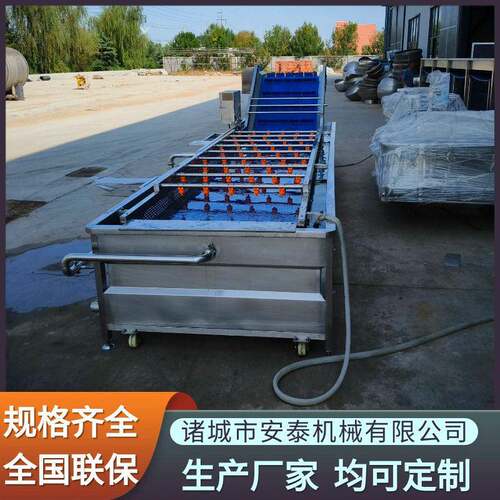 荠菜去泥沙气泡清洗机速冻果蔬全自动洗菜机青毛豆清洗速冻设备