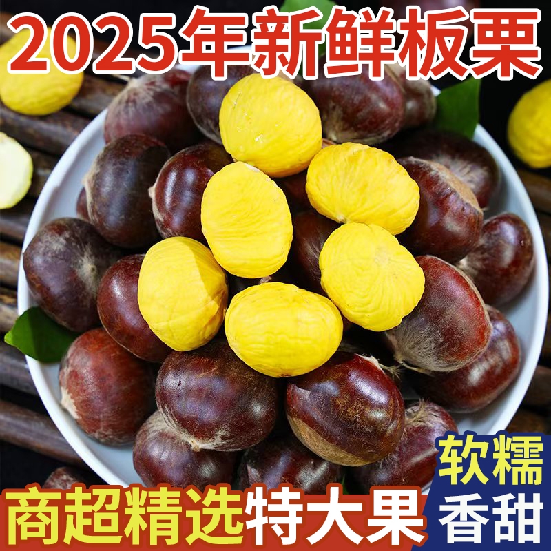 板栗毛栗子农家板栗非锥栗小油栗