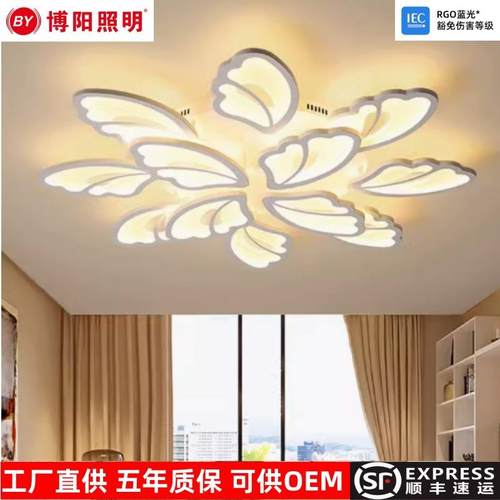 2024年新款灯饰高亮客厅灯吸顶灯大气灯具创意led卧室大厅灯