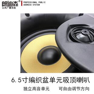 朗迪森吸顶喇叭HIFI6.5英寸天花喇叭30W-80W立体声8欧外贸款