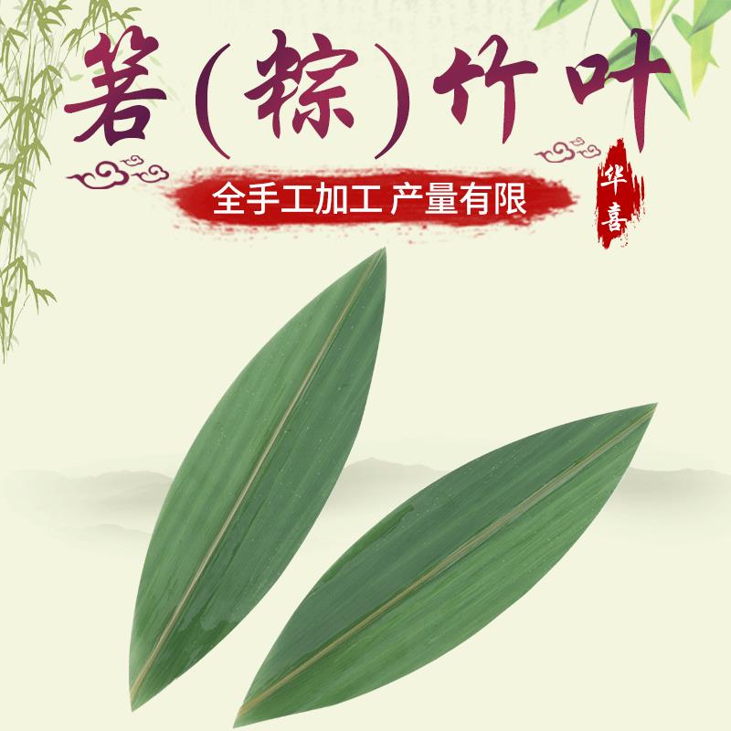 直销23cm*6cm新鲜粽叶30包真空包装船型箬叶摆盘装饰竹叶