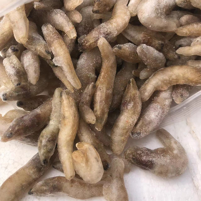 冷冻小鱼喂鱼饲料鱼龙鱼鱼食单冻新鲜小白条鱼龙鱼W鱼食泥鳅河虾