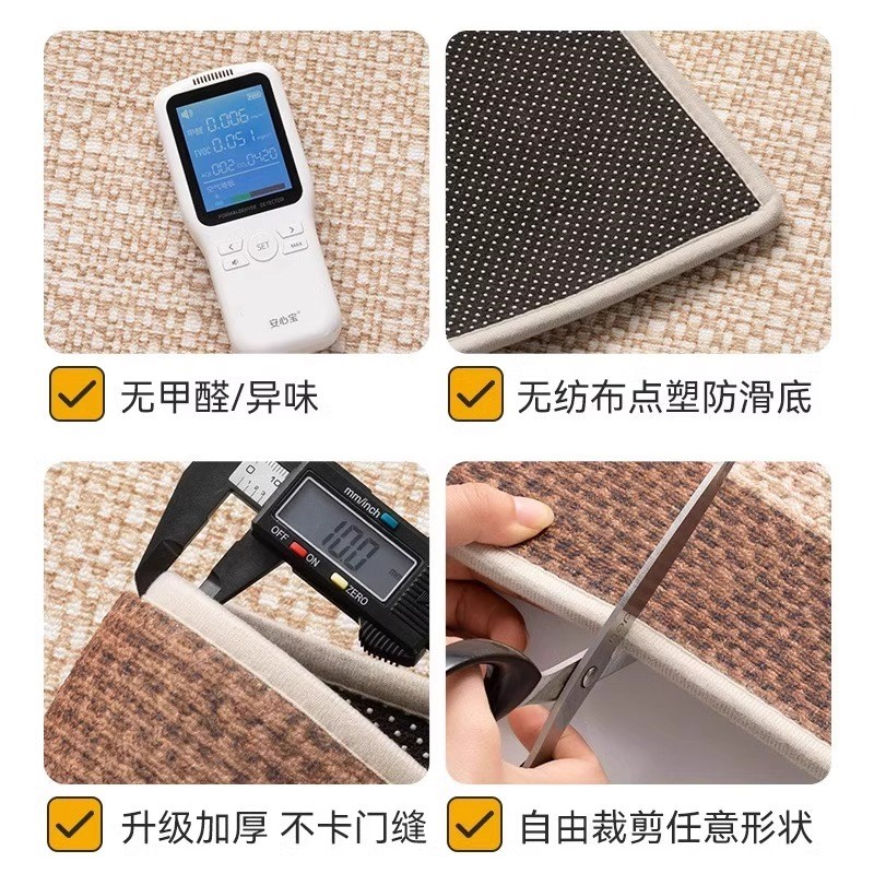 入户门垫进门地垫新款p高级创意家用大门耐磨耐脏免洗可裁剪脚踏