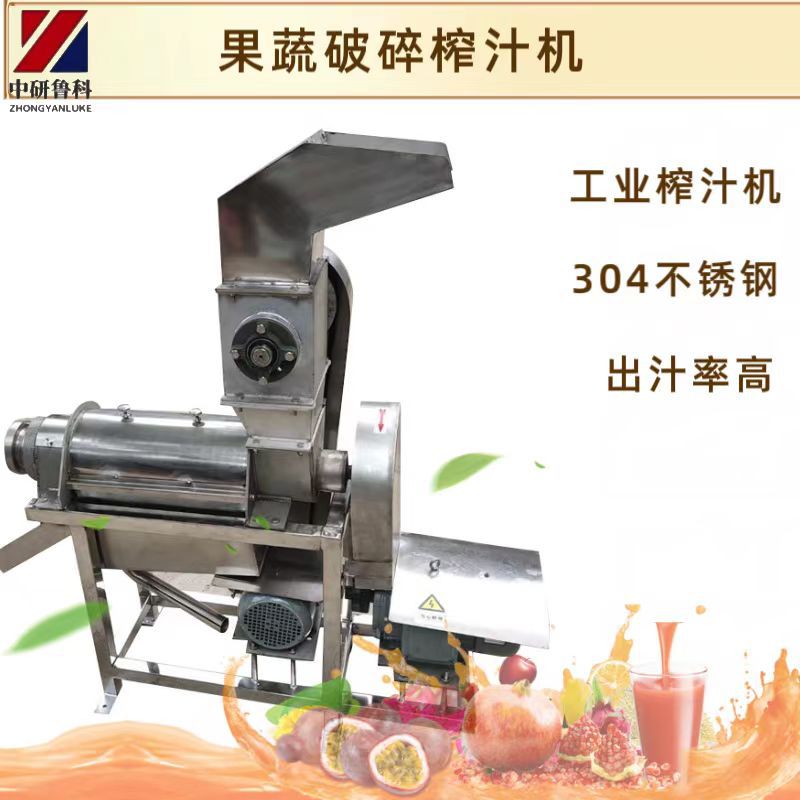 破碎大型不锈钢菠萝杨桃石榴榨汁设备 工业果蔬榨汁机 厂家定制