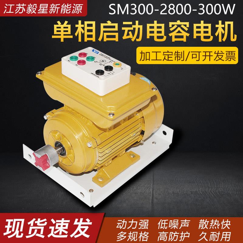 单相启动电容电机220V单相电阻启动教学电机直流无刷微型交流电机