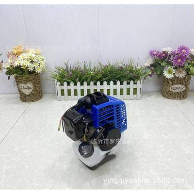 134两冲程发汽动机绿篱机高枝油锯动力汽油机1E34F发动机厂家E直