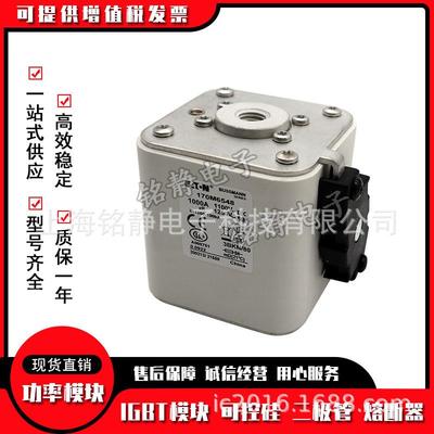 170M6513170M6514器176M515170M60516巴斯曼熔断现货101270M6517