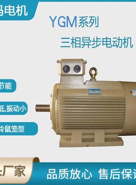 西安电机YGM2-90S-6极0.75WB35低压交流三相异步电动机厂