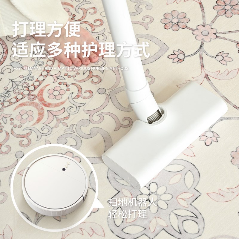 无甲醛无胶地毯客厅202s4新款复古法式沙发卧室地垫家用免洗可擦