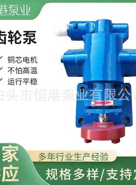 滤油机齿轮泵 压滤机齿轮泵 YCB齿轮泵 KCB齿轮泵 厂家供应