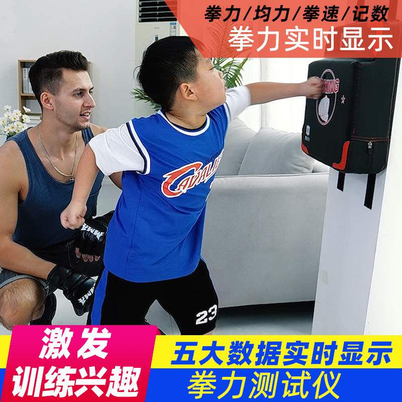 nrq拳击测力器测速用训练器材成人儿童沙袋电子墙靶挂墙家用拳击