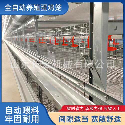 肉鸡H型笼自动层叠式肉鸡A型笼半自动立体镀锌鸽子笼蛋鸡笼鹌鹑笼