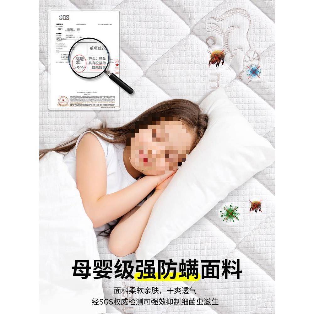 床垫180x200出租房床垫双人床任意尺寸垫子可折叠乳胶学生软垫