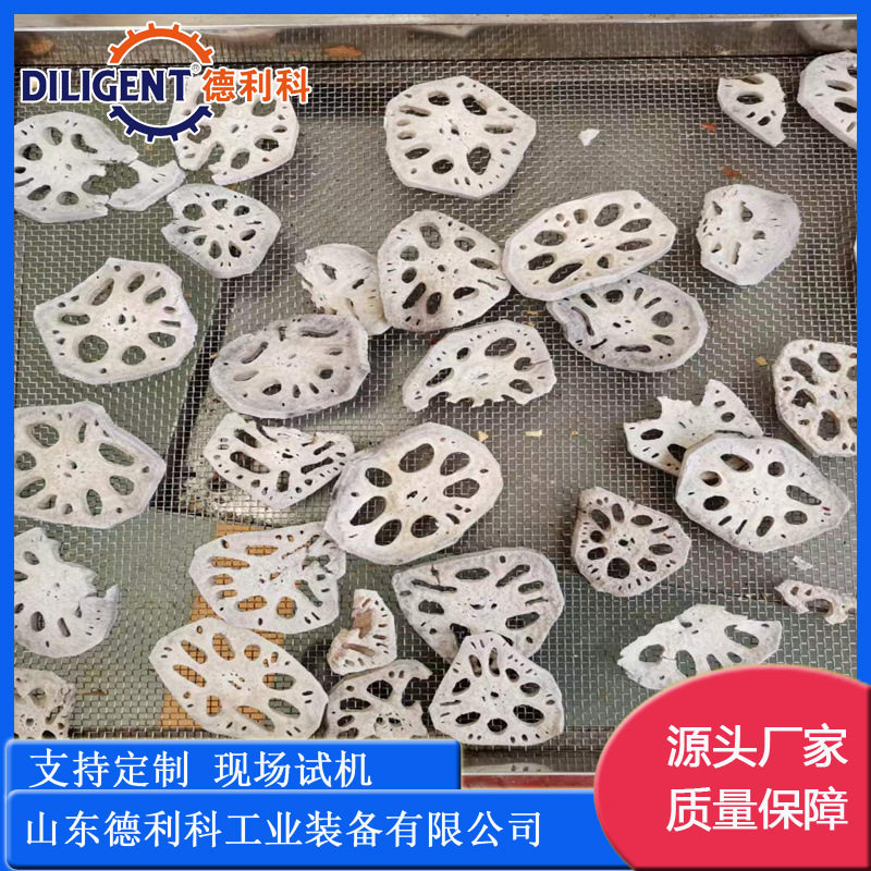 冬枣脆片真空膨化机 全自动非油炸枣片真空膨化机 莲藕真空膨化机