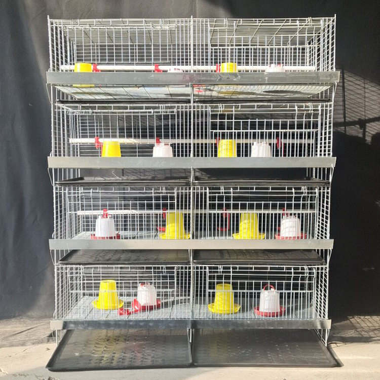 广旺笼具雏鸡笼加粗加密弹簧门 立式四层幼鸡笼 小鸡笼铁丝镀锌