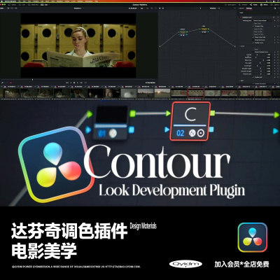 达芬奇ProcoloristContour插件