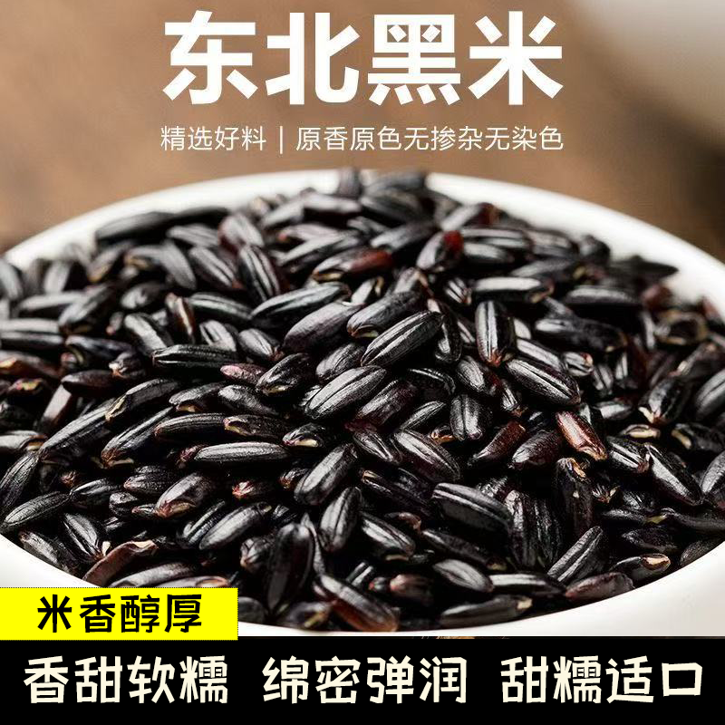 当季新米东北农家新黑米无染色黑大米健康粗粮软糯丝滑浓浓米香