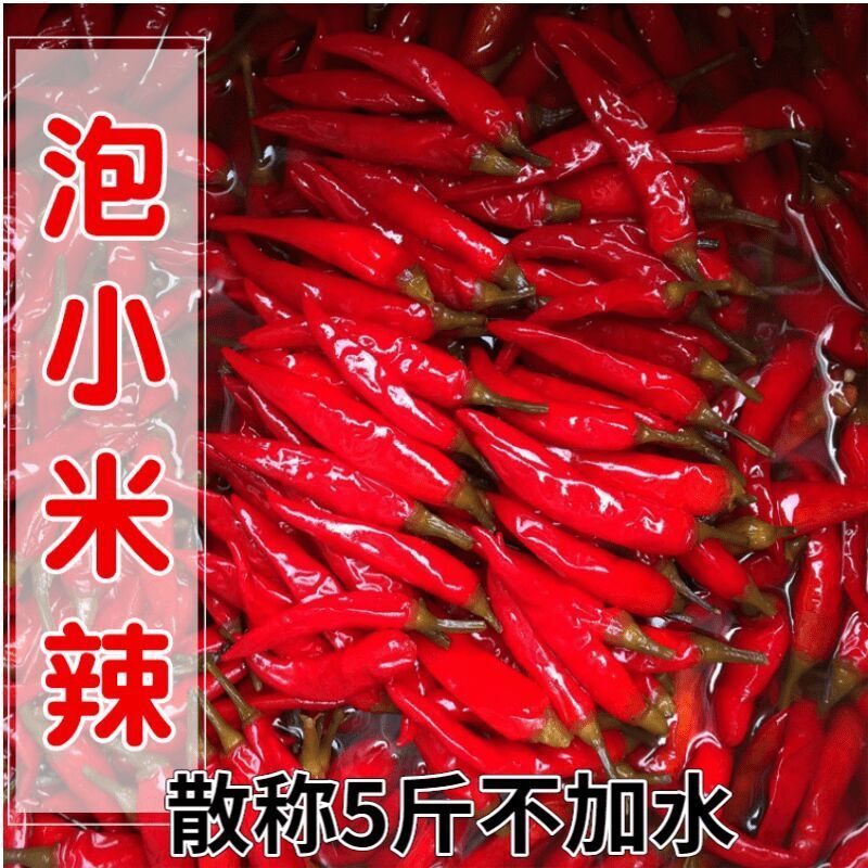 红小米辣商用朝天椒餐饮泡辣椒批发四川重庆特产椒泡椒批发商用
