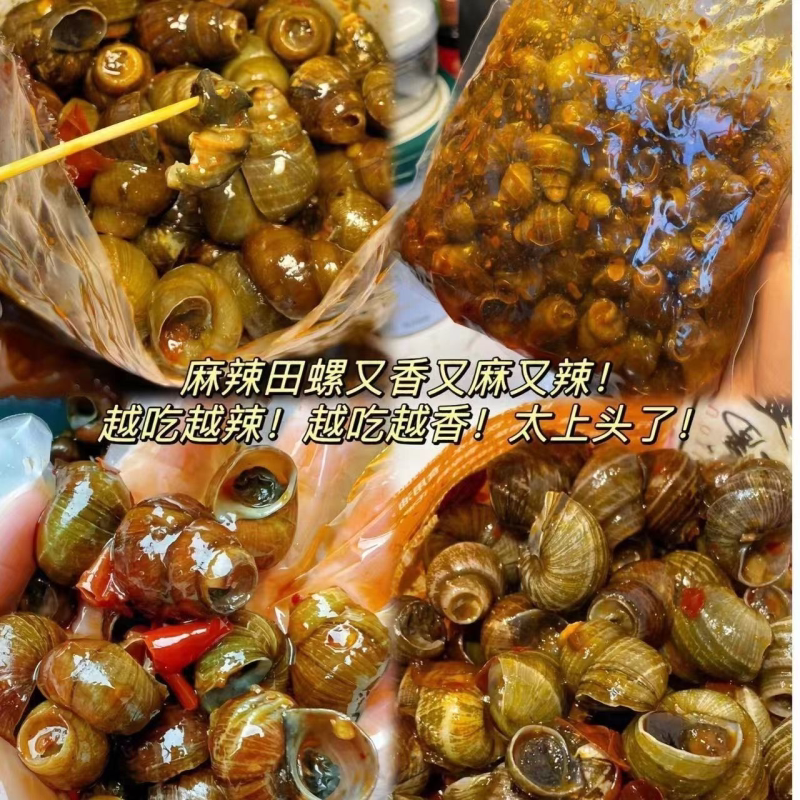 口味嗦螺麻辣田螺开袋即食香辣螺蛳螺丝肉熟食批发嗦螺儿时小袋装
