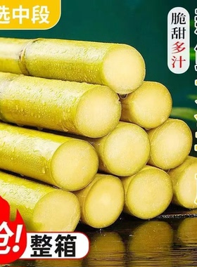 正宗黄金甘蔗黄皮脆甜新鲜水果9斤现砍甜杆甘蔗孕妇多汁包邮批发