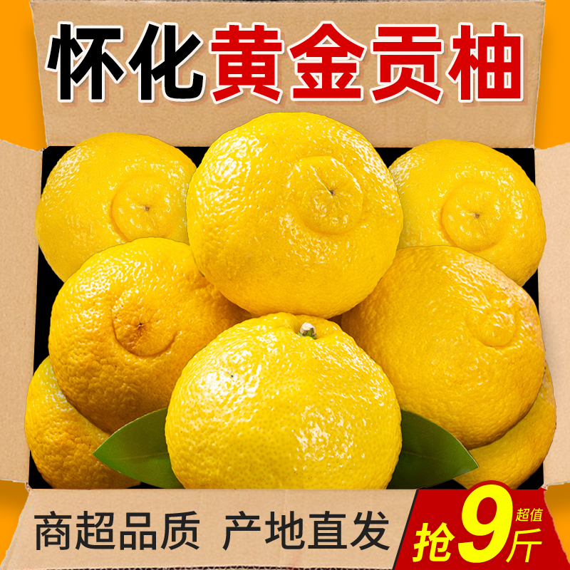 湖南怀化黄金贡柚春香桔柚象山青新鲜甜小柚子雪峰山10斤大果整箱