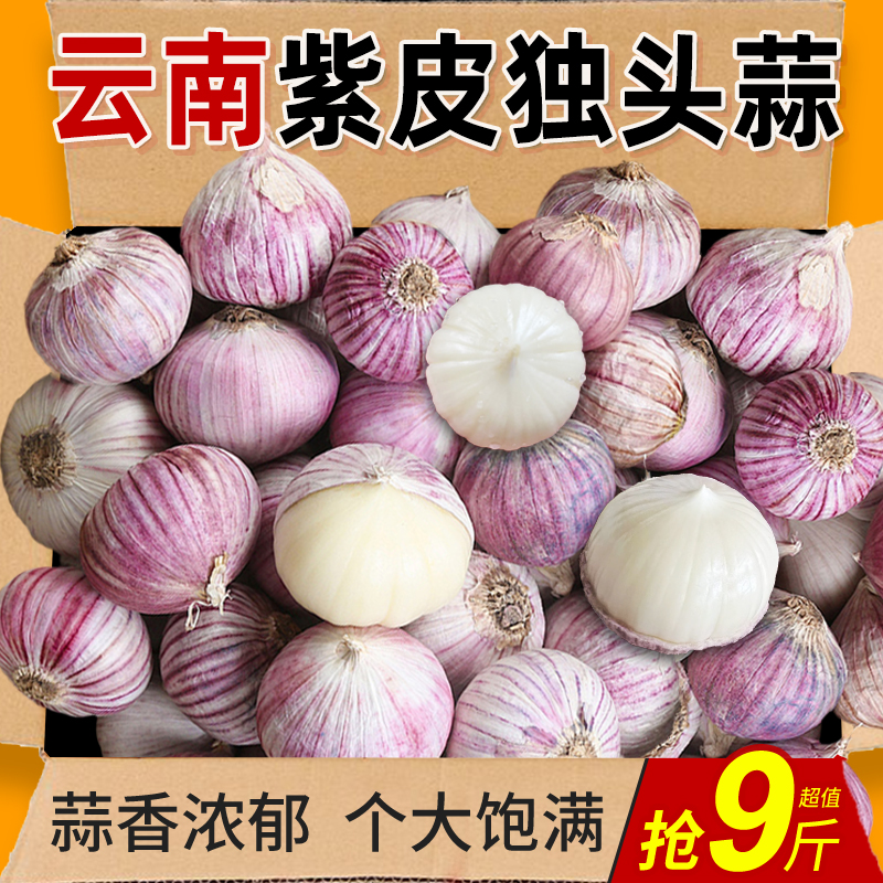 云南独头蒜大蒜头力荐5斤包邮