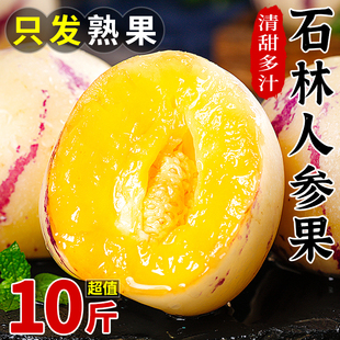 云南石林人参果5斤树上熟鲜果新鲜人参果七彩黄肉圆果人生果包邮