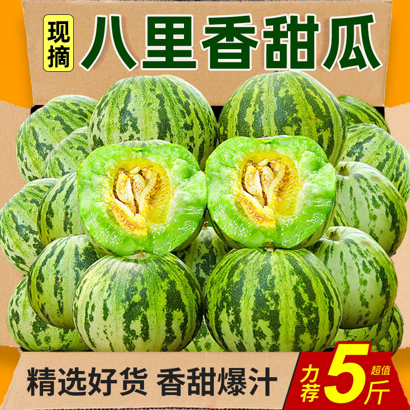 现货八里香花姑娘香瓜新鲜现摘整箱包邮应季时令孕妇水果花蕾甜瓜
